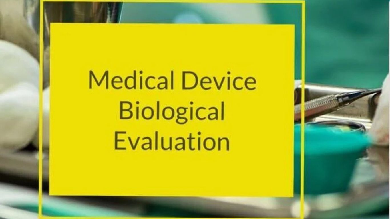 Mastering BER: Ensuring Safety and Compliance with Bioexcel