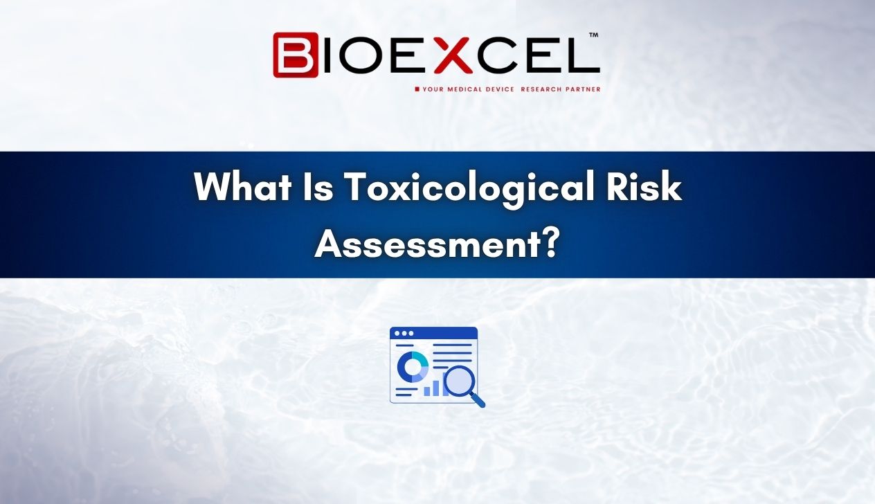 Toxicological Risk Assessment: Why It Matters